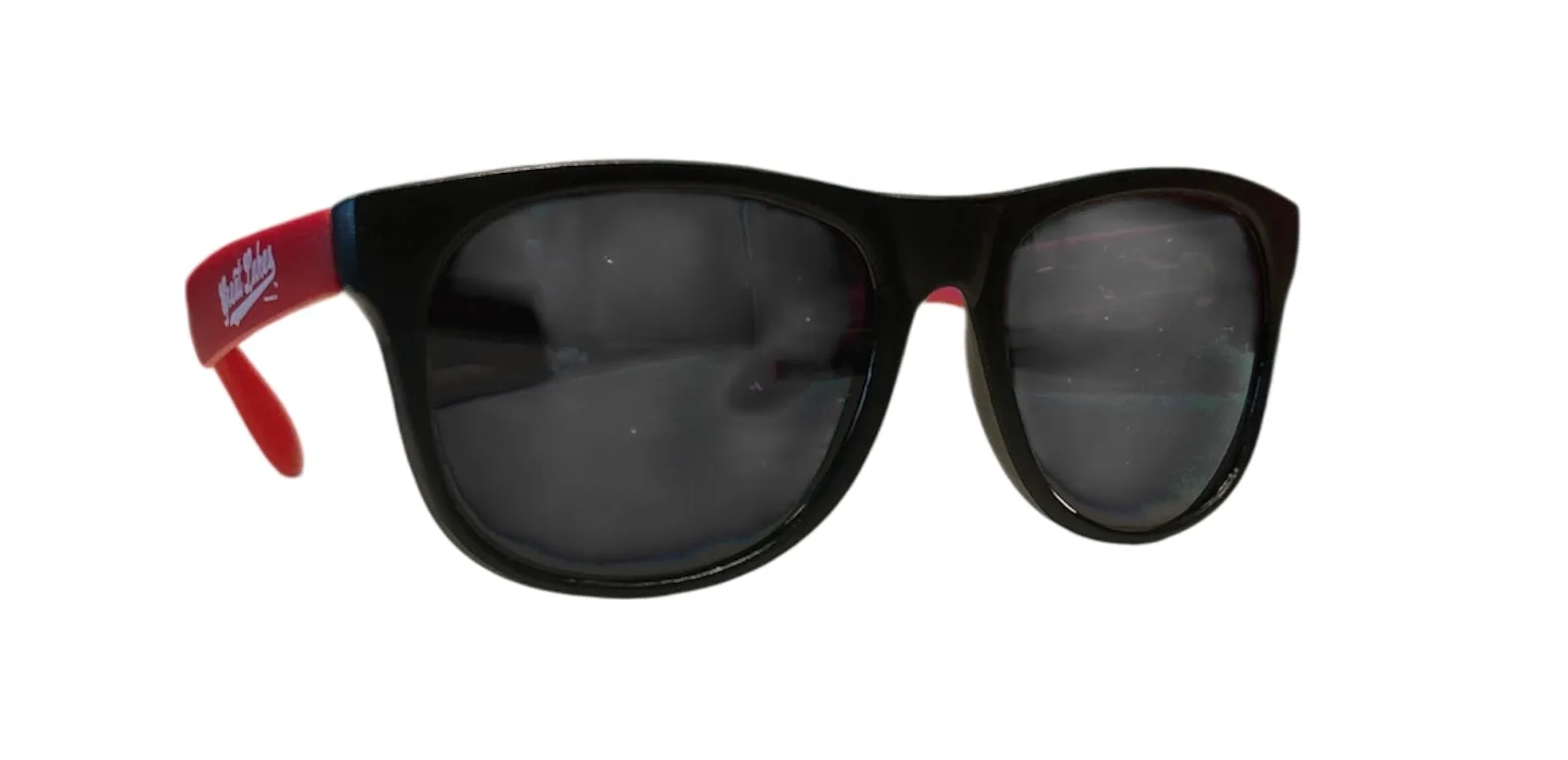 Great Lakes Loons Two-Toned Sunglasses