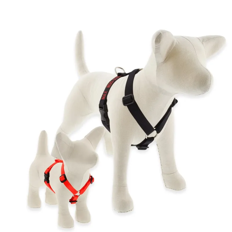 How to Measure Your Dog for a Roman Harness: A Step-by-Step Guide