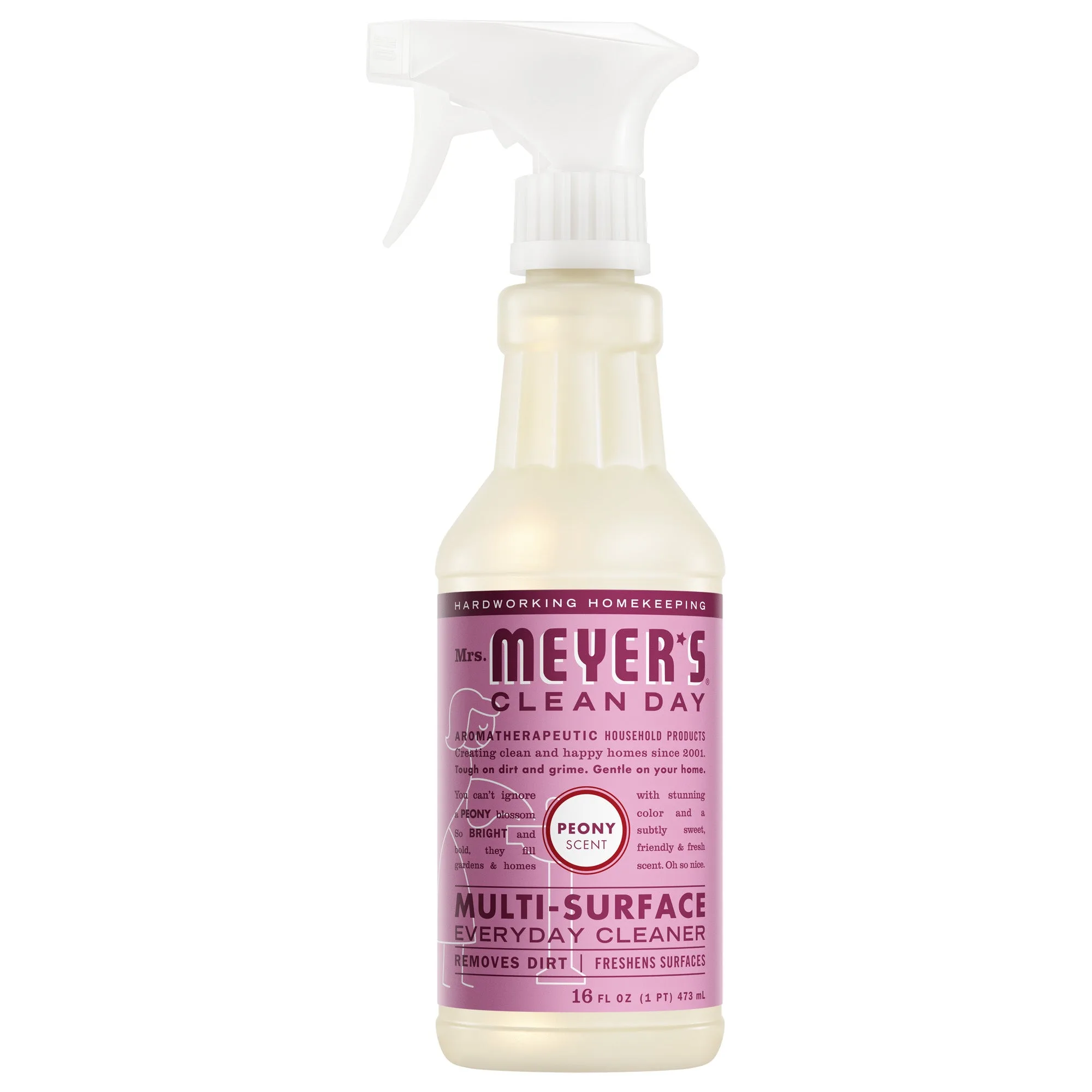 How to Clean Multiple Surfaces with Multi-Surface Everyday Cleaner