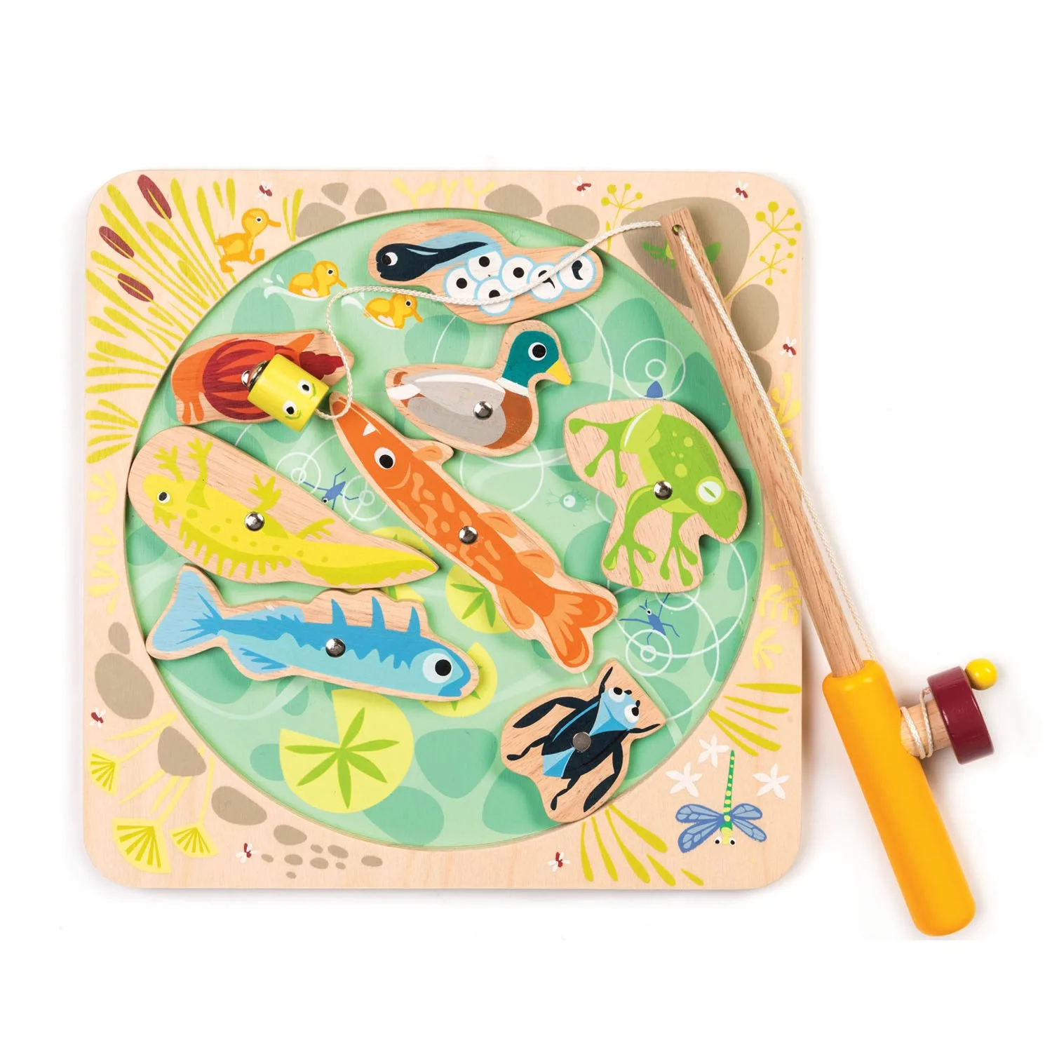 Pond Dipping for Kids: A Safe and Fun Nature Activity Guide