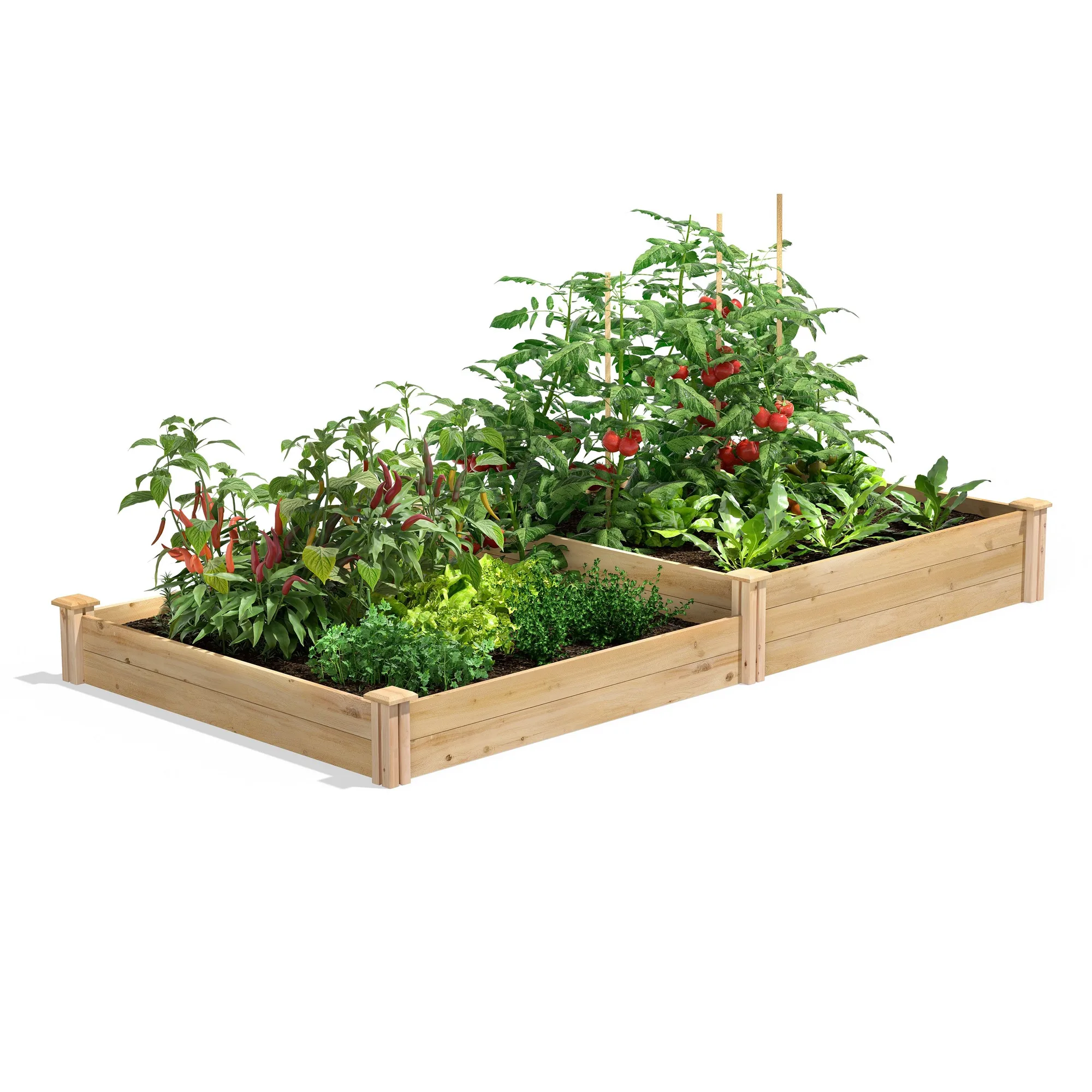 Cama de jardín elevada de cedro premium, 2 niveles, 4 pies x 8 pies (3/4 pulg de grosor) RC4C8T2