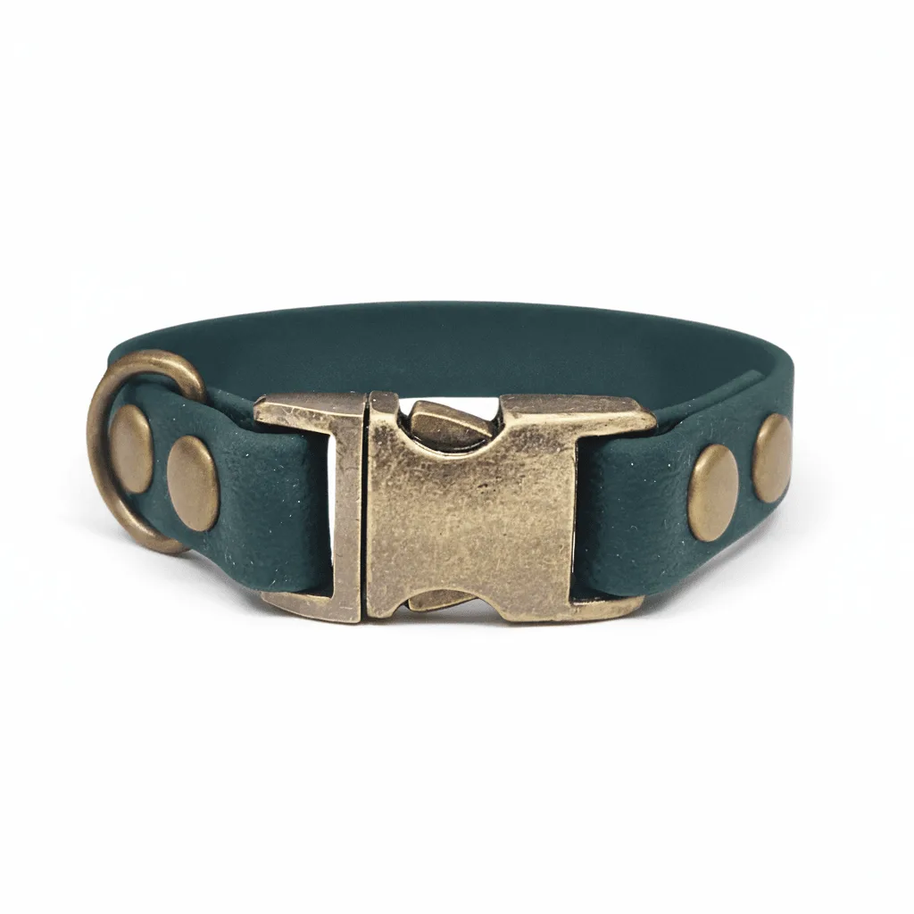 Small Breed Waterproof Dog Collar: Fit & Style Guide