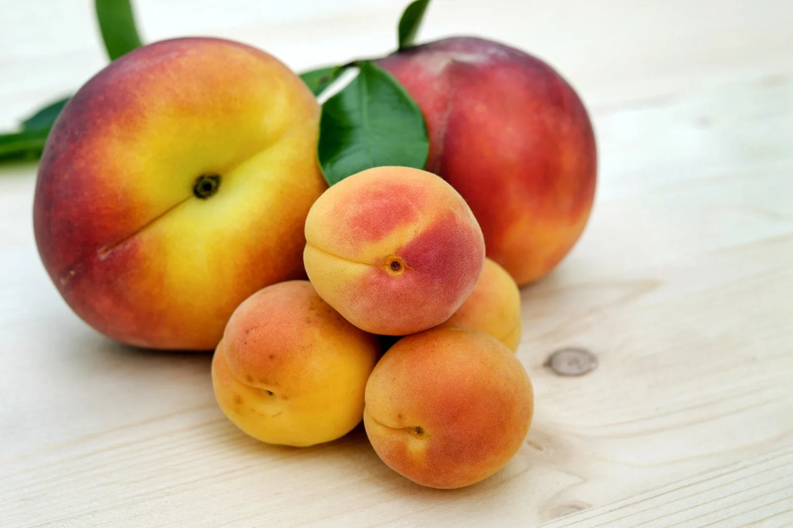 How to Ripen and Store Apricots at Home