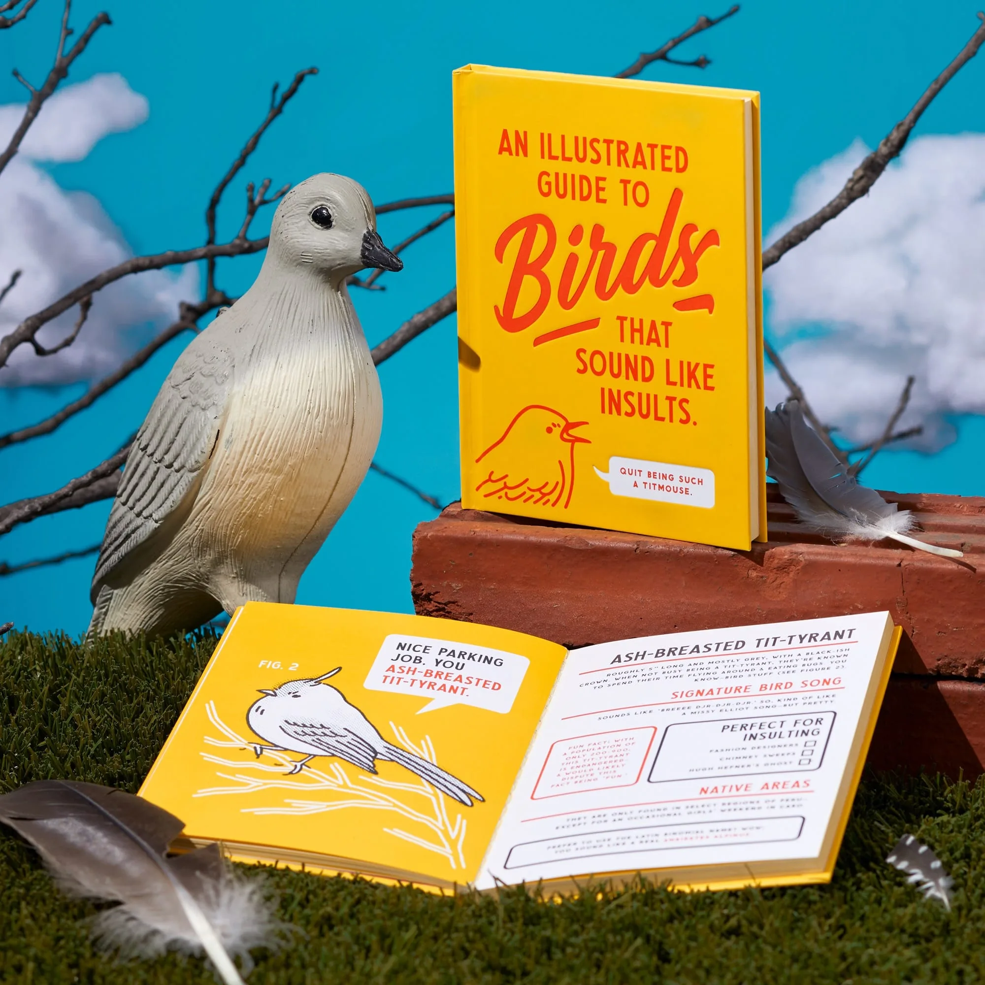An Illustrated Guide to Birds that Sound like Insults