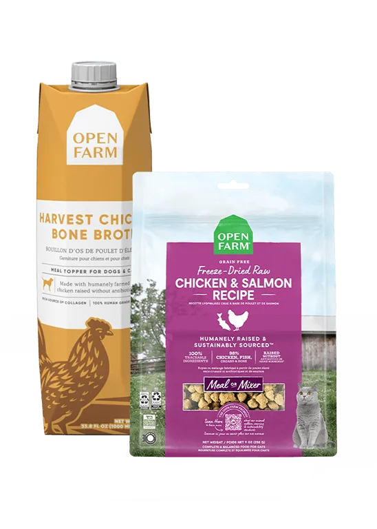 The Rise of Novel Proteins in Pet Food: Why Kangaroo, Venison, and Other Exotic Meats Are Gaining Popularity