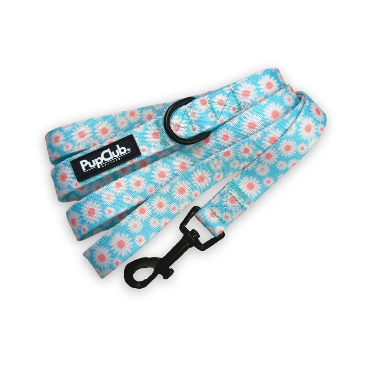How to Clean and Care for Your Dog Lead