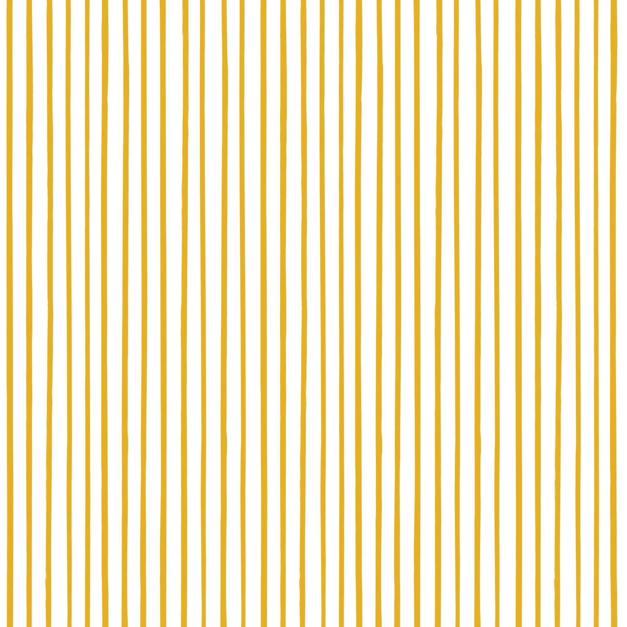 Chasing Paper X Pehr Wallpaper - Stripes Away Marigold