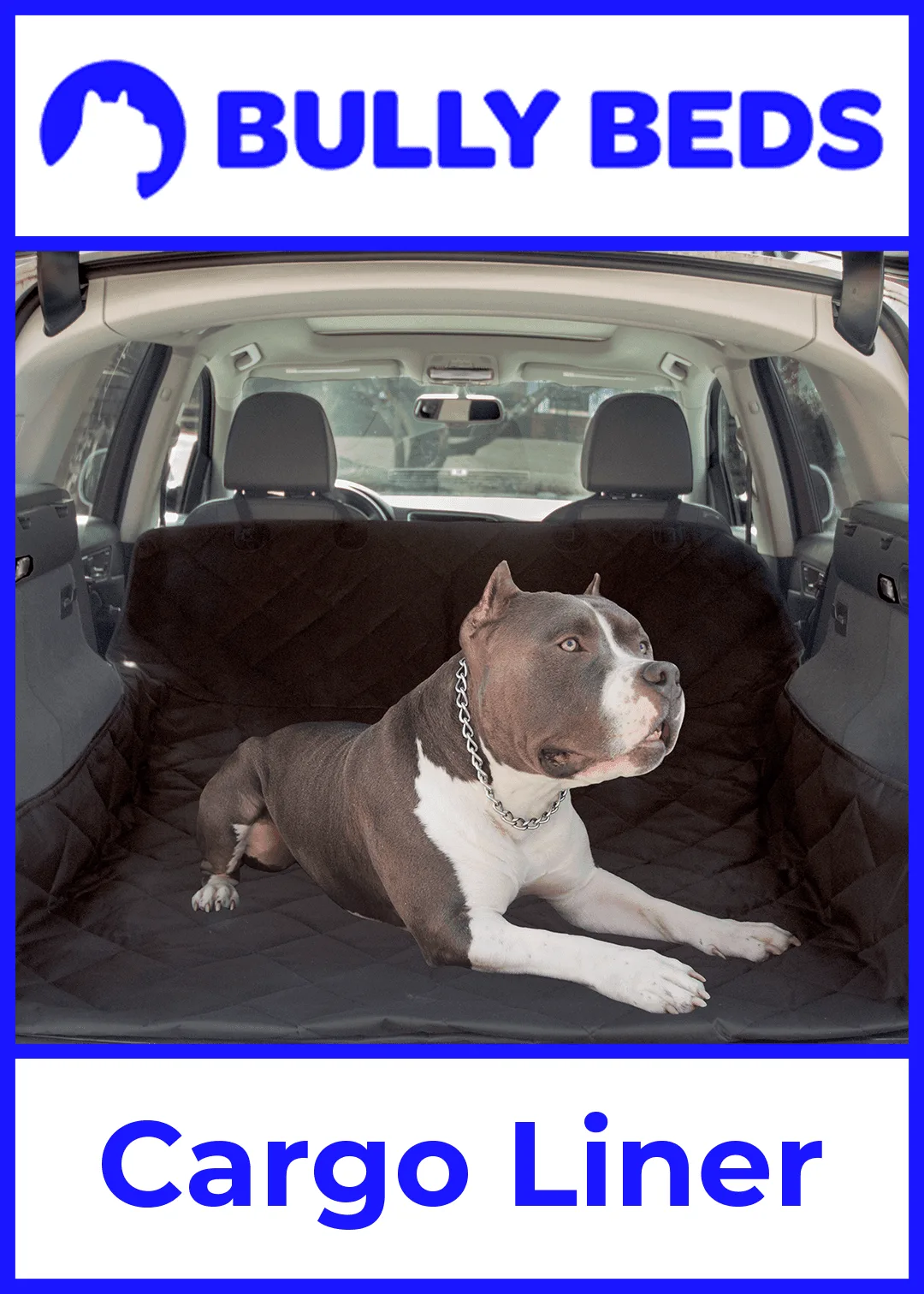 Cargo Liners vs Dog Travel Covers: Key Differences