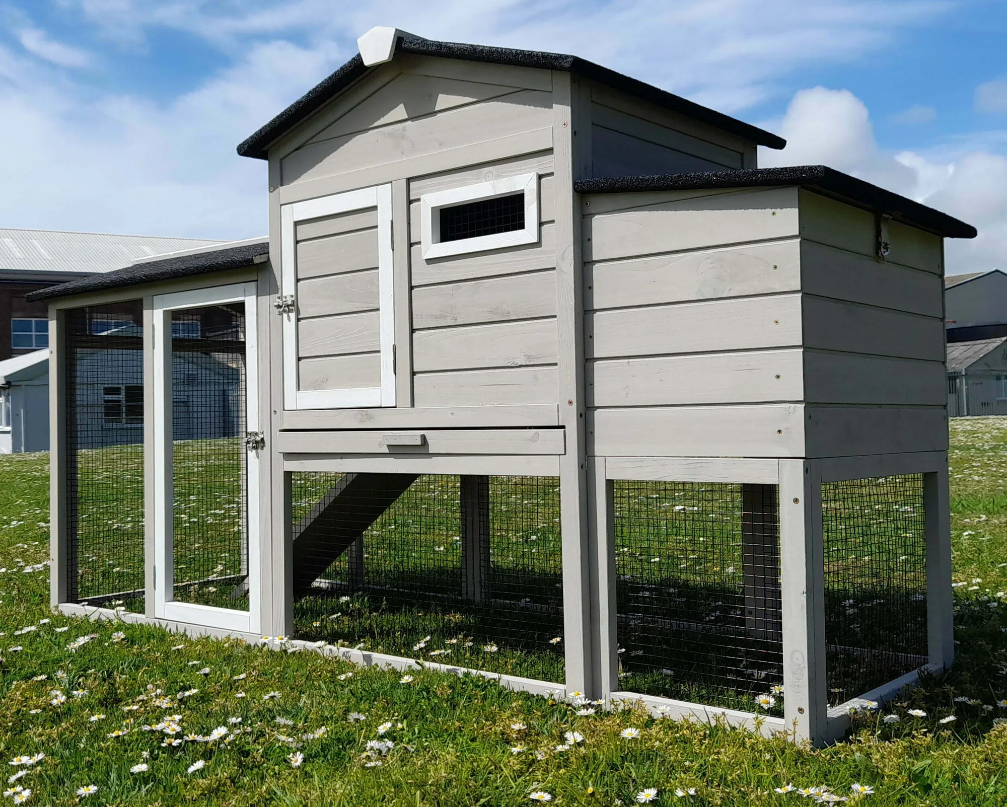 Why Your Chicken Coop Needs a Raised Design