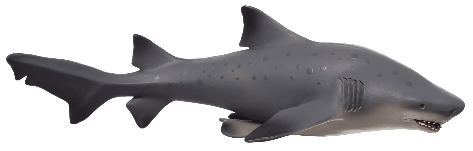 Bull Shark Deluxe vs Blue Tang Fish Figure: Ocean Model