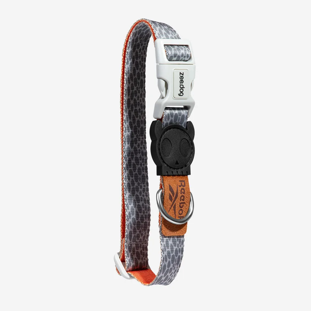 How to Measure Your Dog for a Collar: A Simple Guide