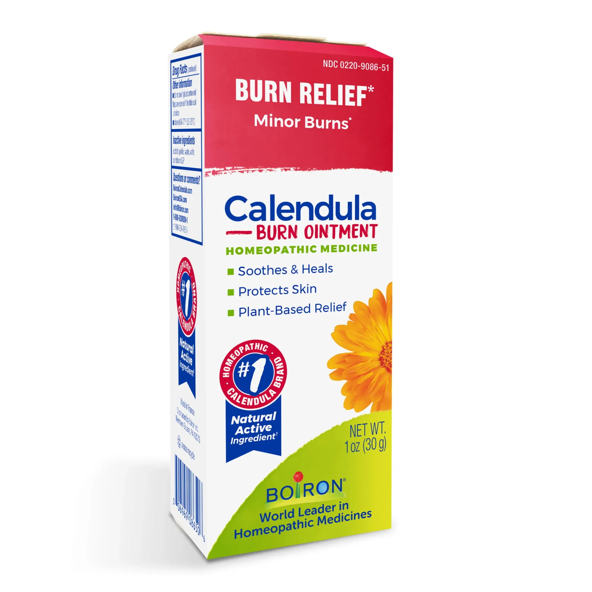 Calendula Burn Ointment: Natural Healing for Minor Burns