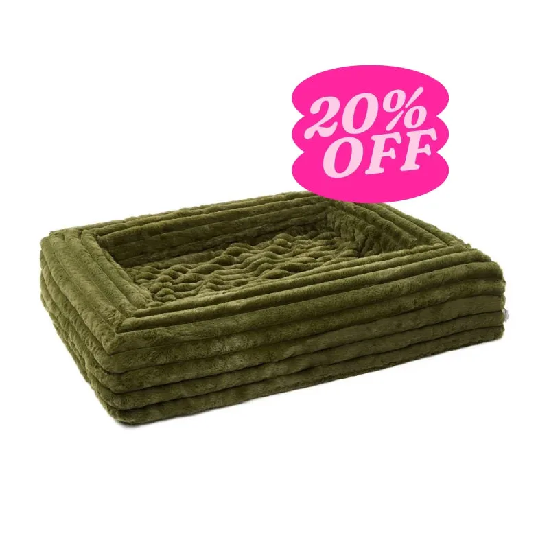 Quick Cover - Puffer Fern