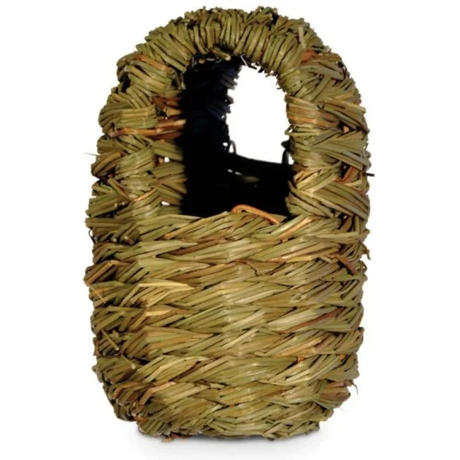 Parakeet Nest Material Buying Guide