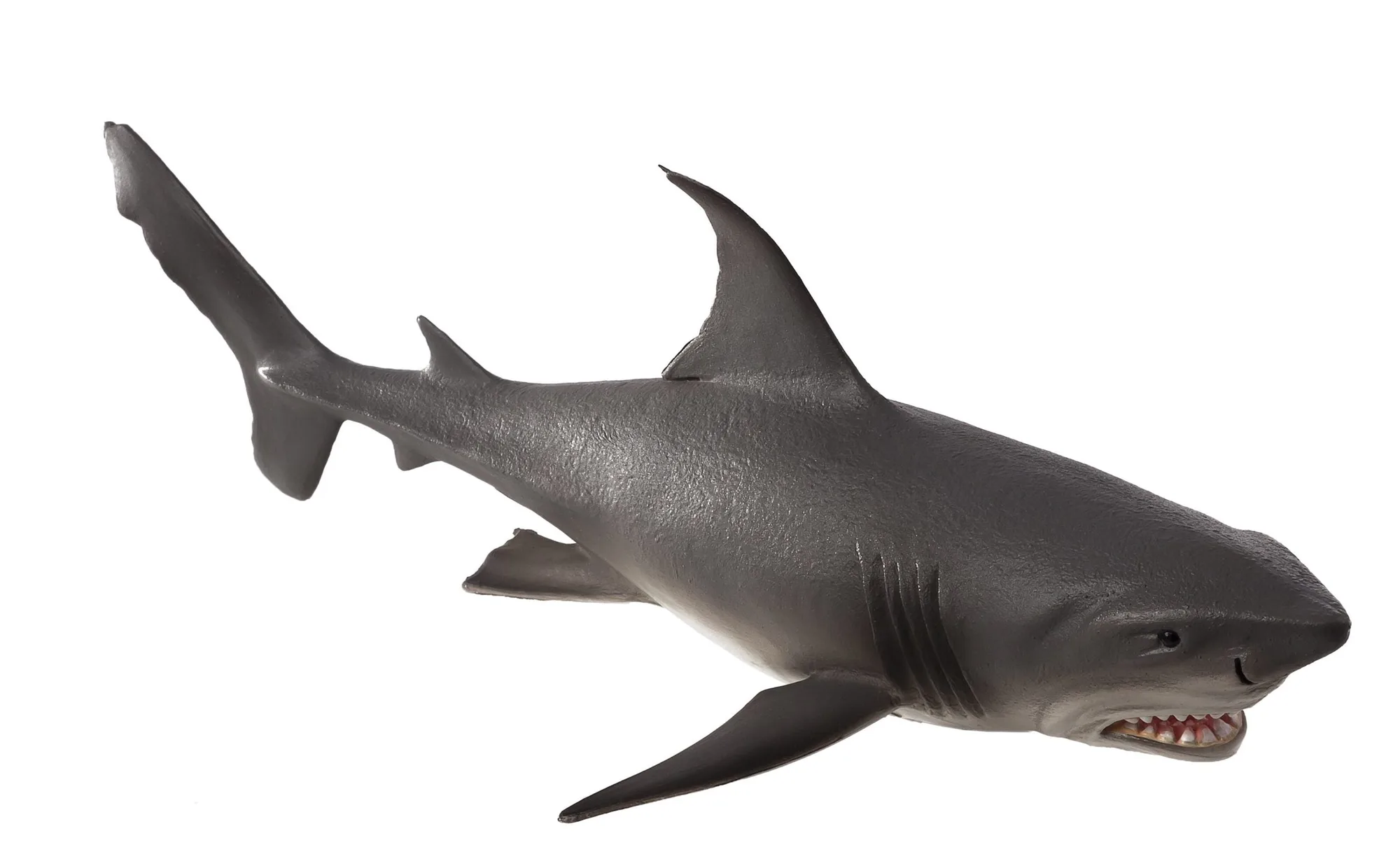Clean & Display Your Great White Shark Deluxe Figure
