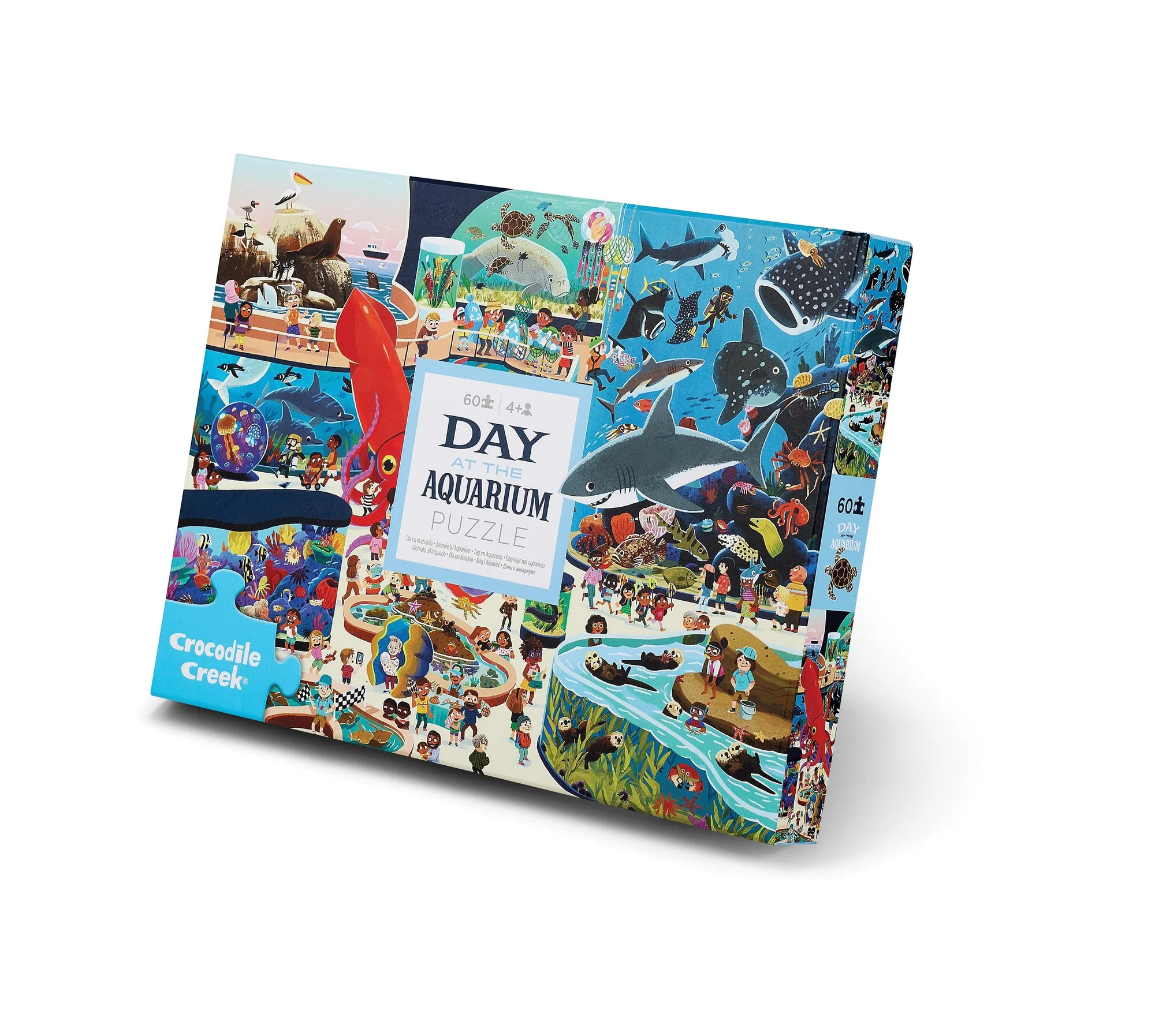 What to Do with a 60-Piece Aquarium Puzzle