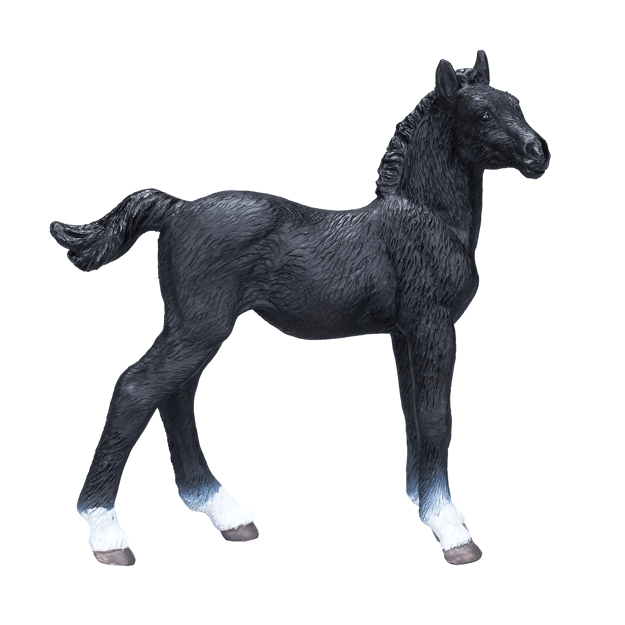 Hanoverian Foal Black