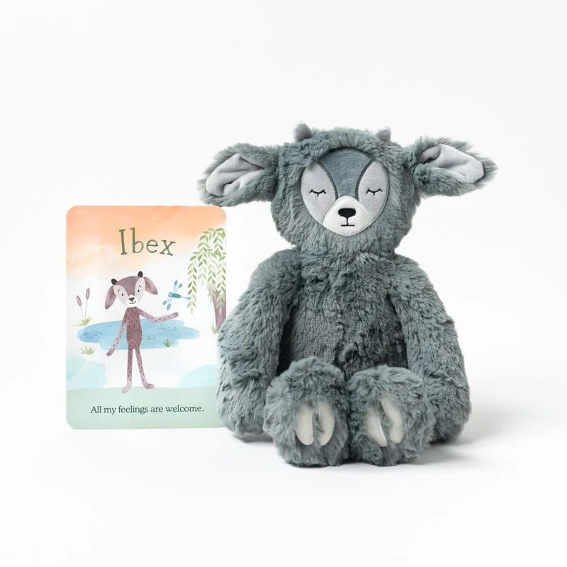 Utiliser Ibex Kin pour fixer des objectifs avec les enfants