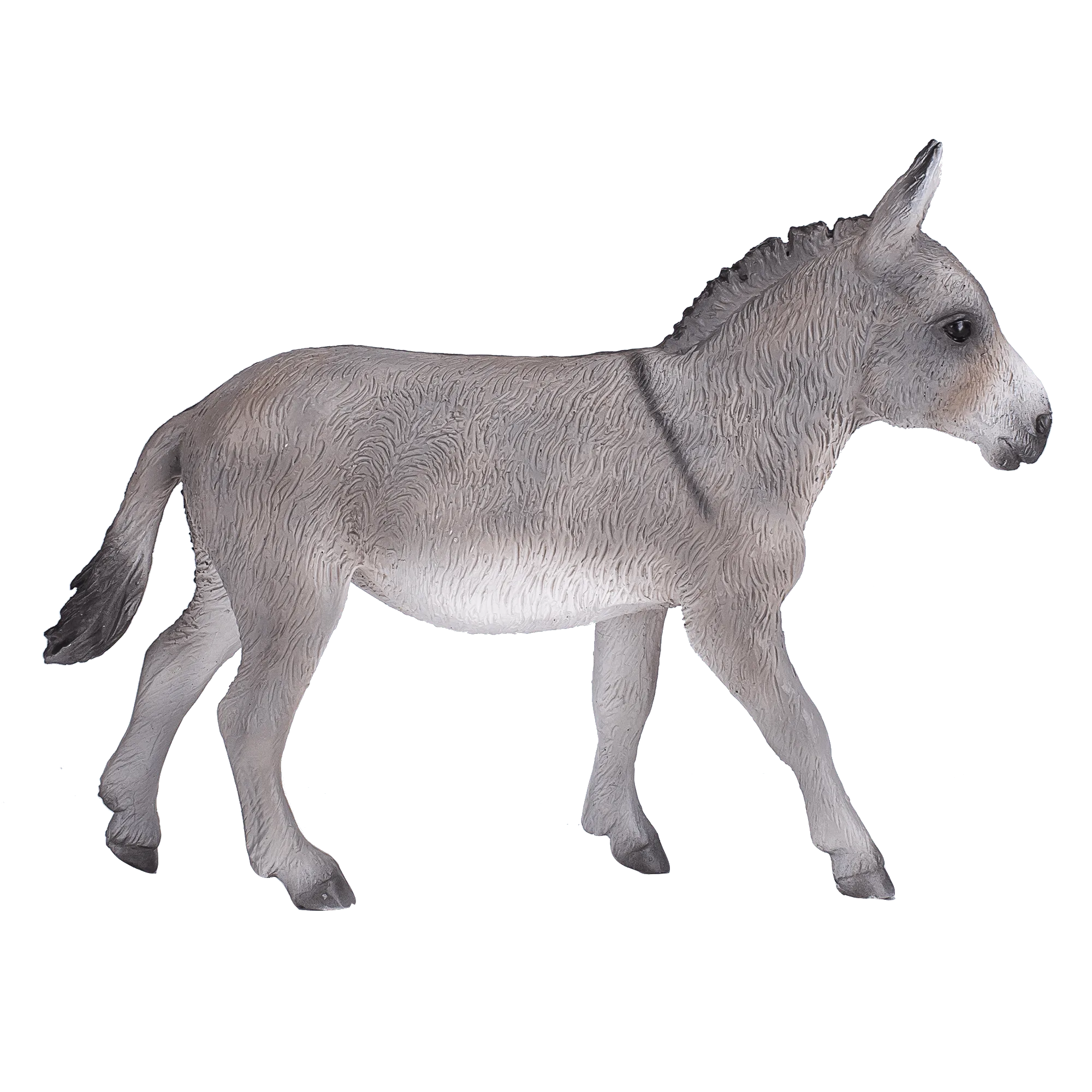 Donkey