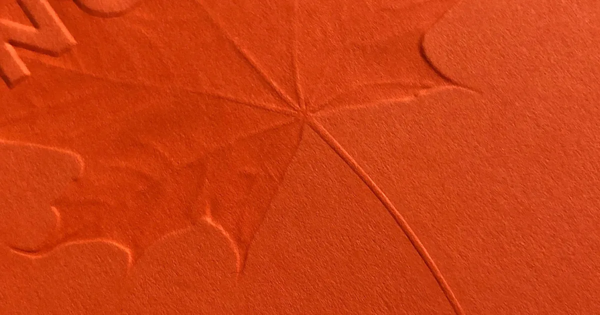 Autumn Trilogy vs. Trailhead Edition: Seasonal vs. Outdoor Memo Books