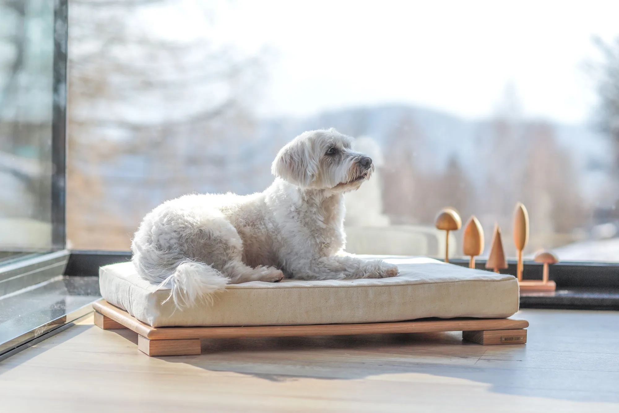 Größentabelle für Pet Bed No.04: Die richtige Passform für Ihren Hund