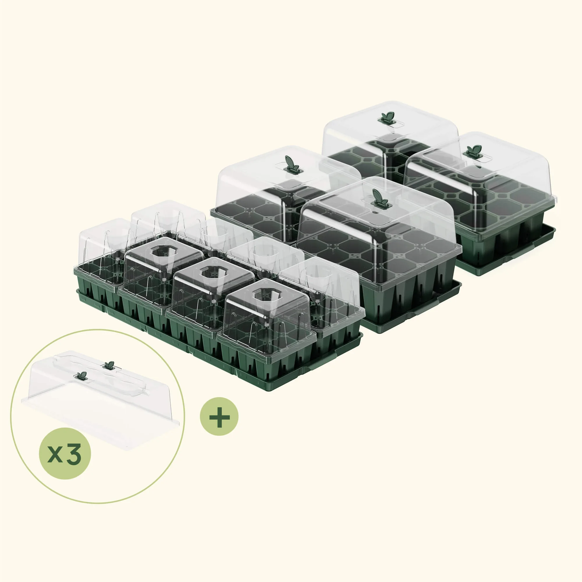 Bandejas de semillero: qué tamaño y configuración elegir