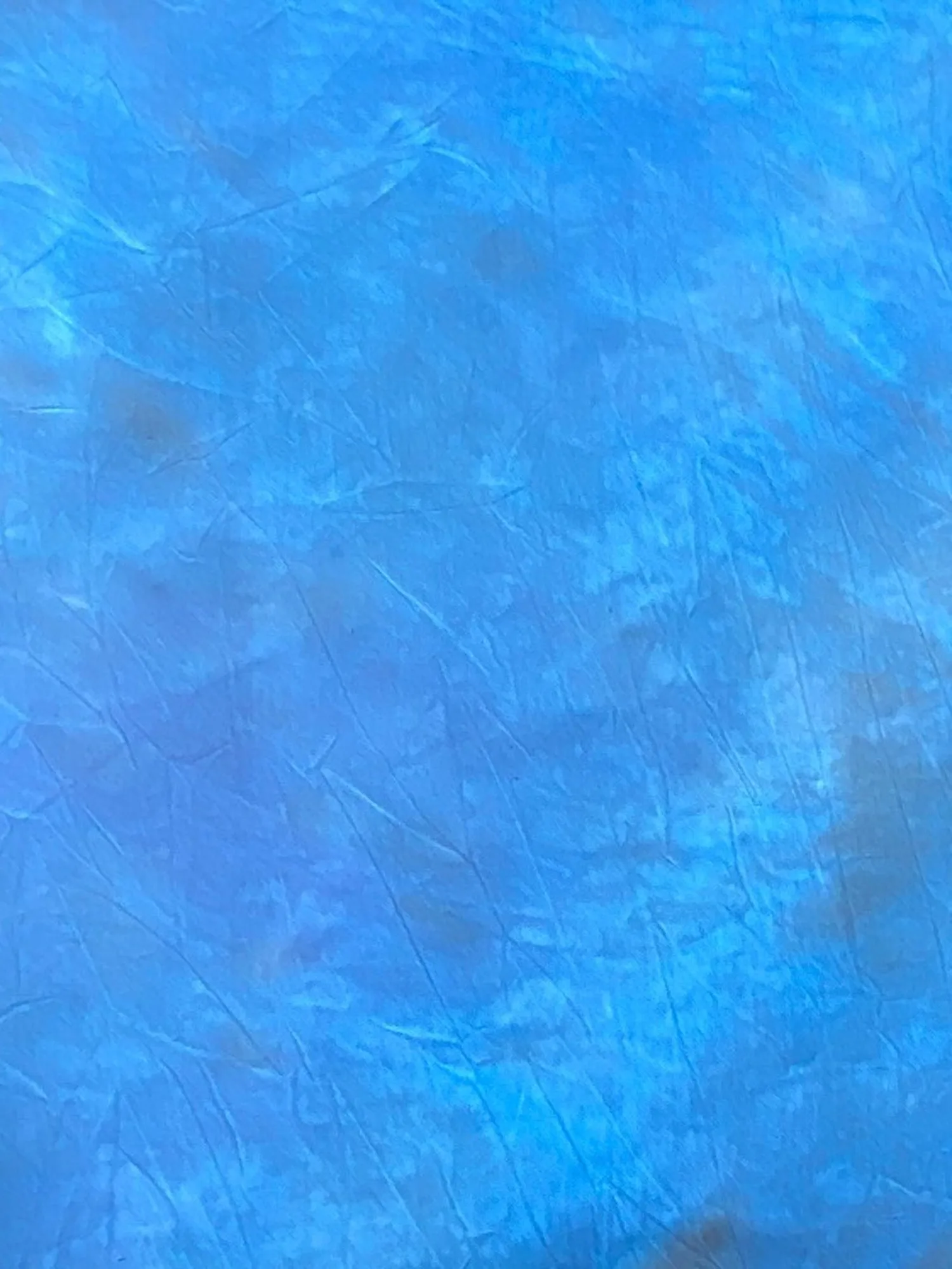10 x 12 ft Photo Muslin Back drop Backgrounds Backdrop W117