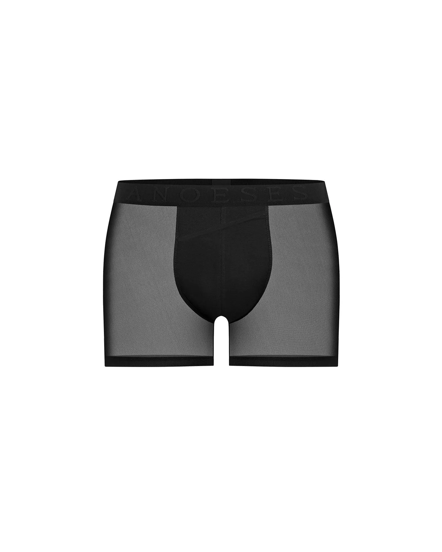 Boxer "Tate"