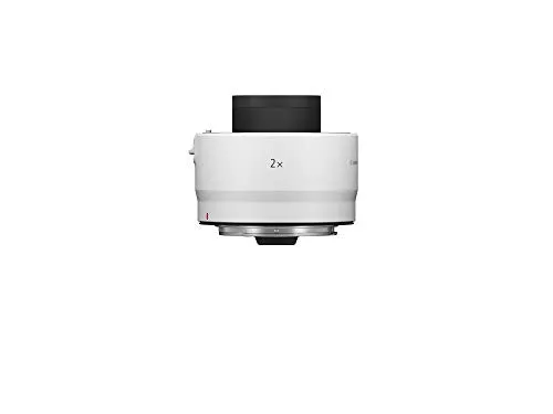 Canon Extender RF 2x vs AC-E6N: Which Adapter Do You Need