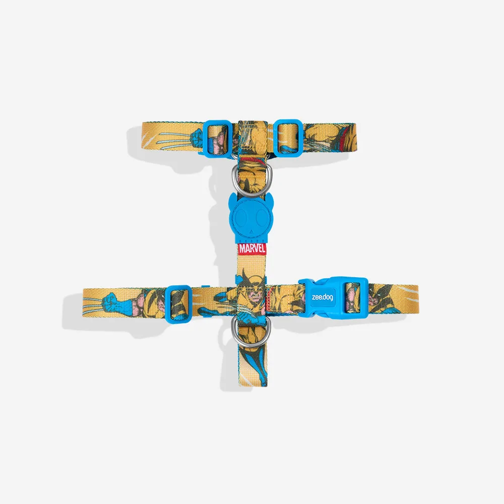 مقارنة FlyHarness و H-Harness: أيهما يناسب الكلاب النشيطة
