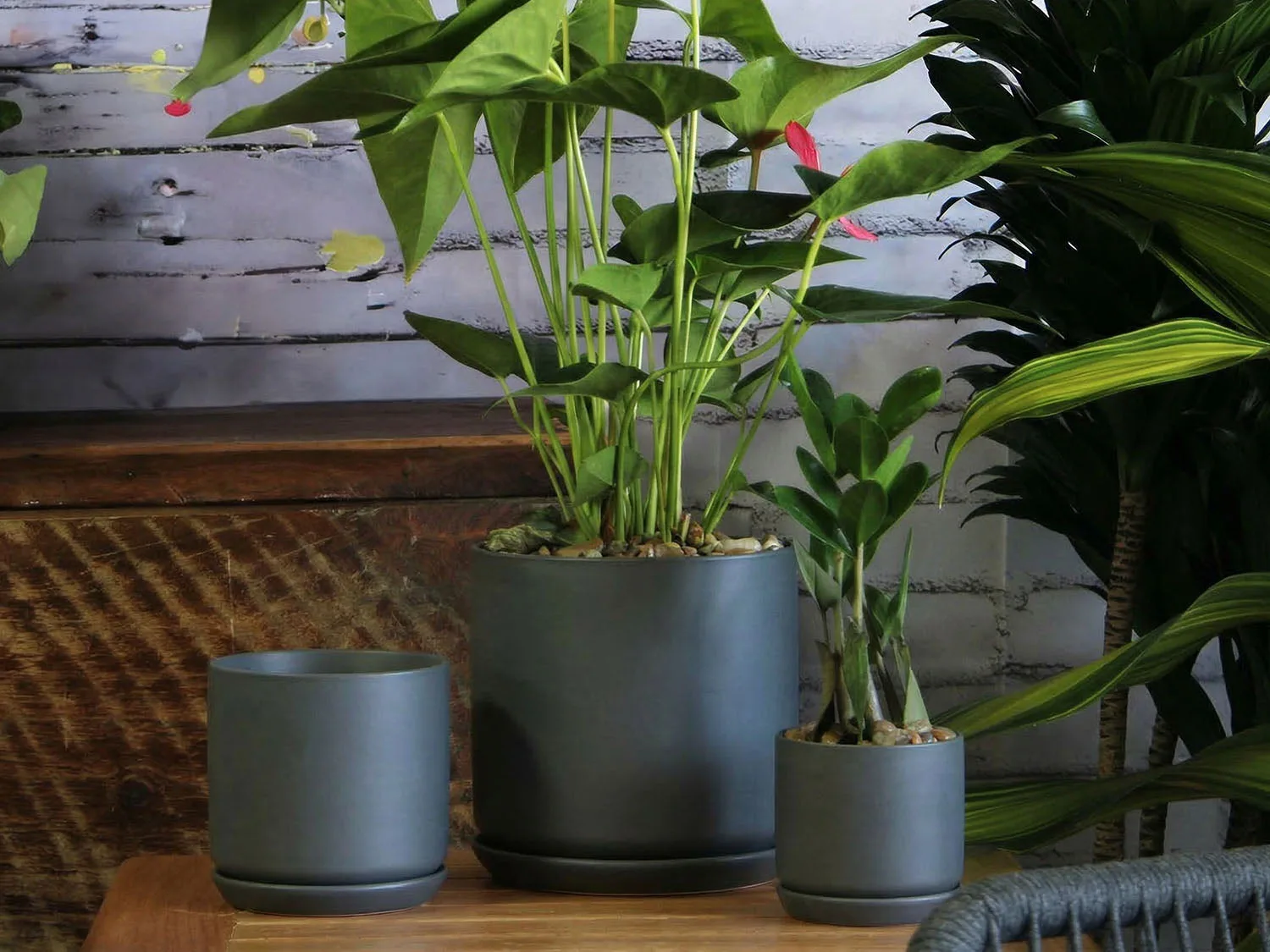Do Decorative Planters Need Liners? What Actually Protects Your Floors