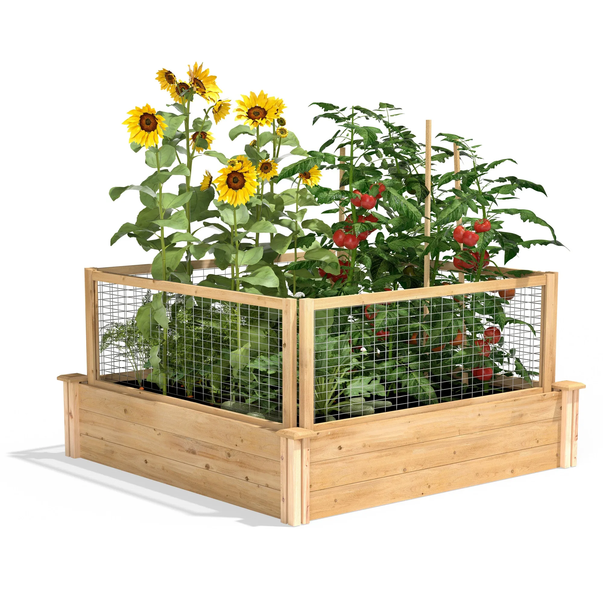 Premium Cedar Raised Garden Bed with CritterGuard® Cedar Fence System 4 ft x 4 ft x 10.5 in (3/4 in Thick) RC4T12BCG