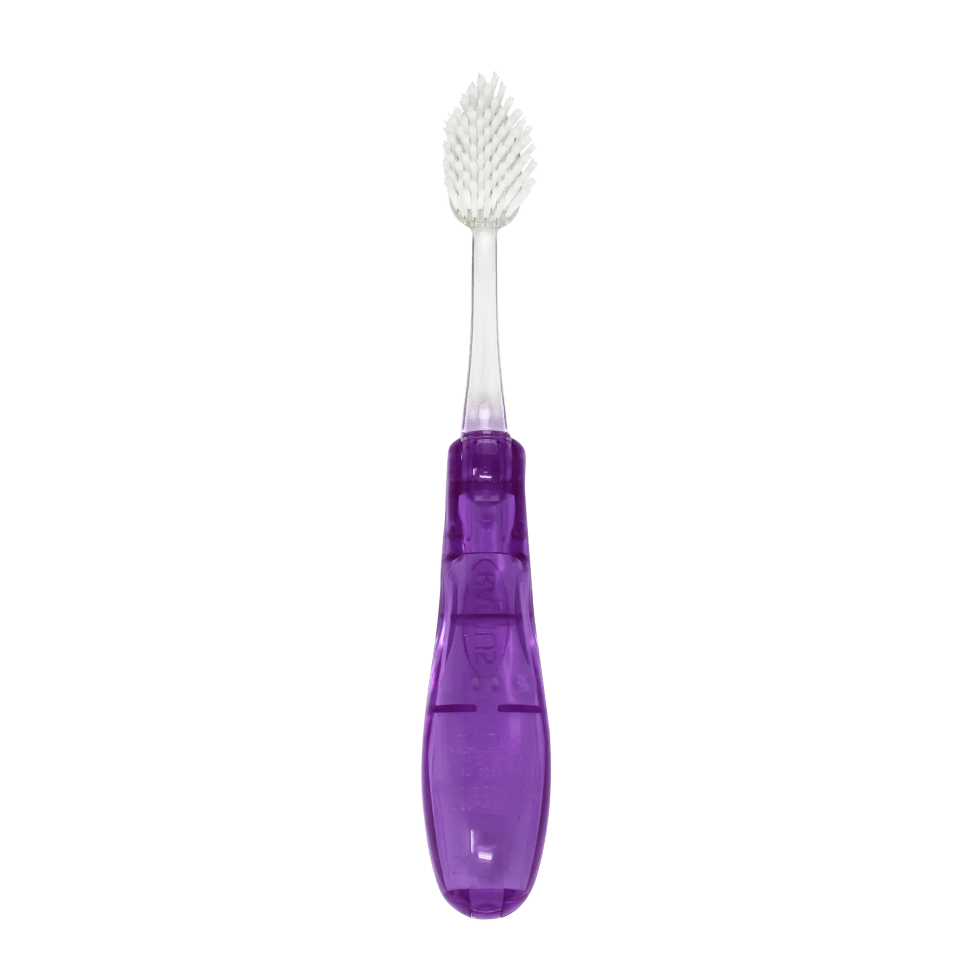 How to Choose a Toothbrush for Your Pet: Yes, They Need One!