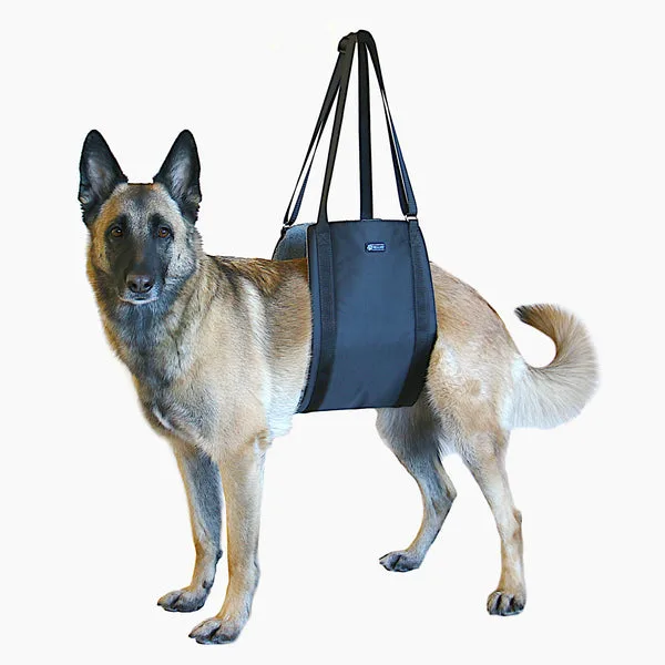 Lift Support and Rehab Harness: A Complete Review for Post-Surgery Dogs