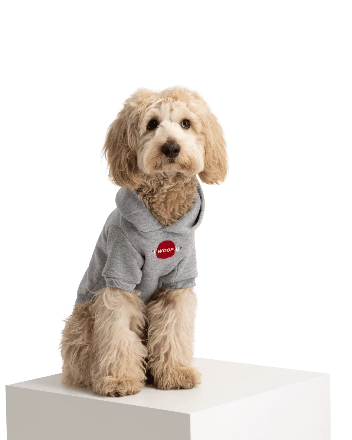 How to Measure Your Dog for a Moshiqa Dog Coat: A Step-by-Step Sizing Guide
