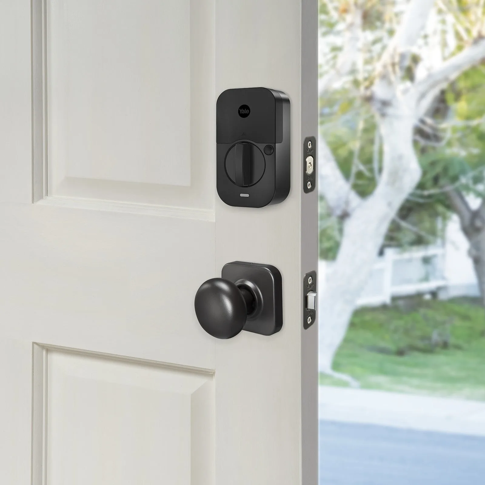 Yale Assure Lock 2 Plus vs Touch Bundle: Which Front Door Set?