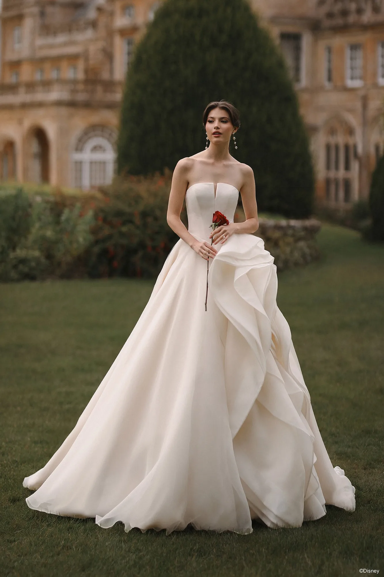 DP452 - Belle