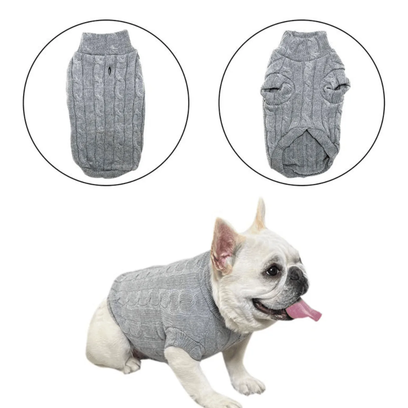 用高領毛衣為愛犬打造冬季穿搭