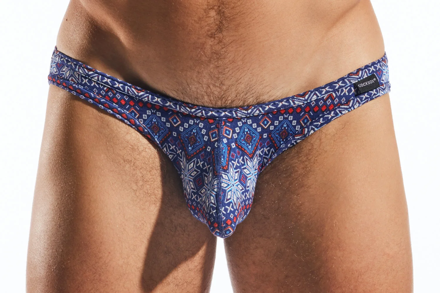 CX01MD Modal Brief