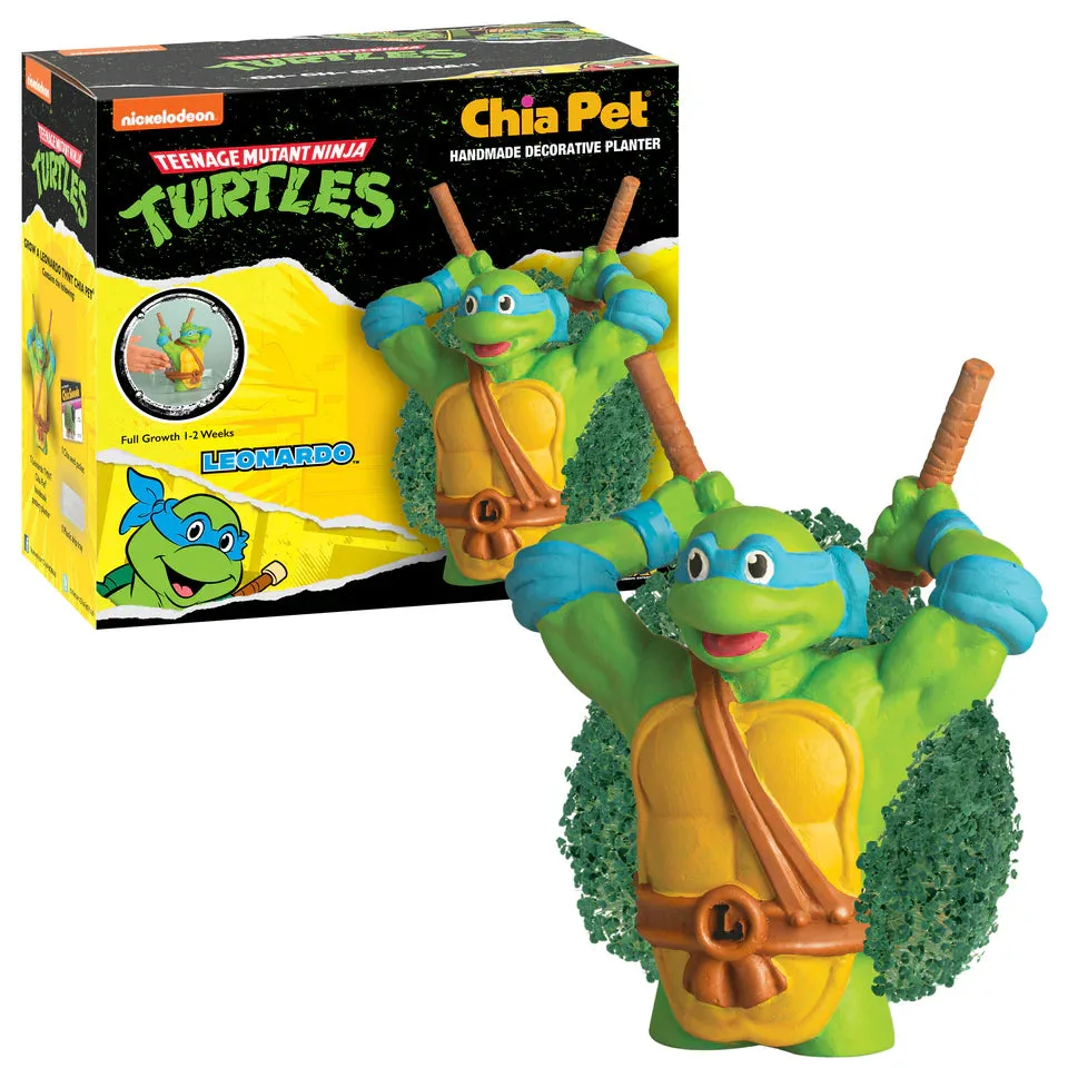 كيف تنمي نبات تشيا ليوناردو TMNT