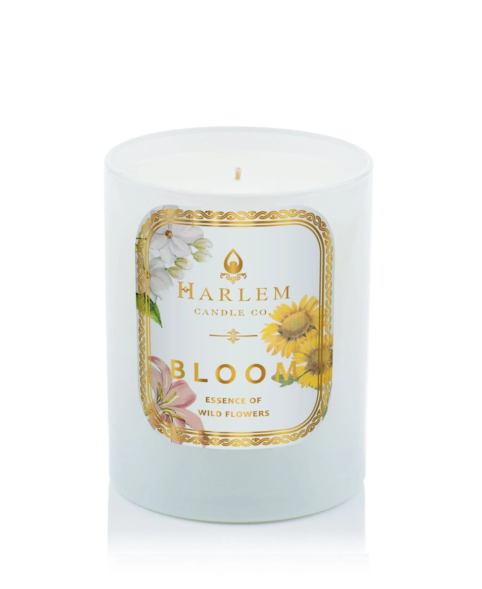 The Science of Scent: How Luxury Candles and Diffusers Affect Your Mood and Emotions