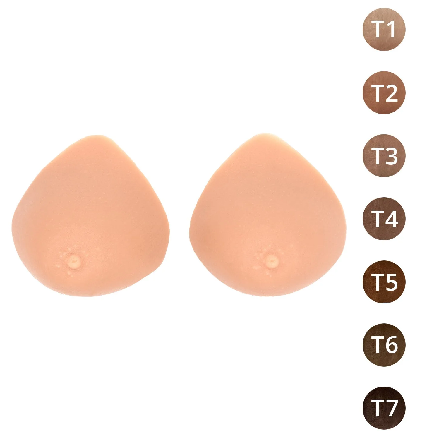 FM 2 / Formes mammaires