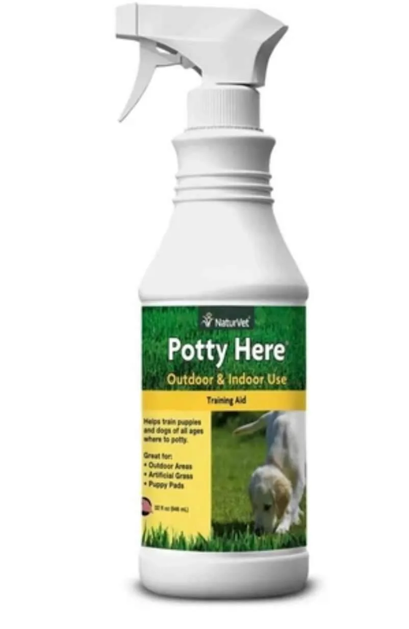 Using Potty Here Spray for House Training Puppies