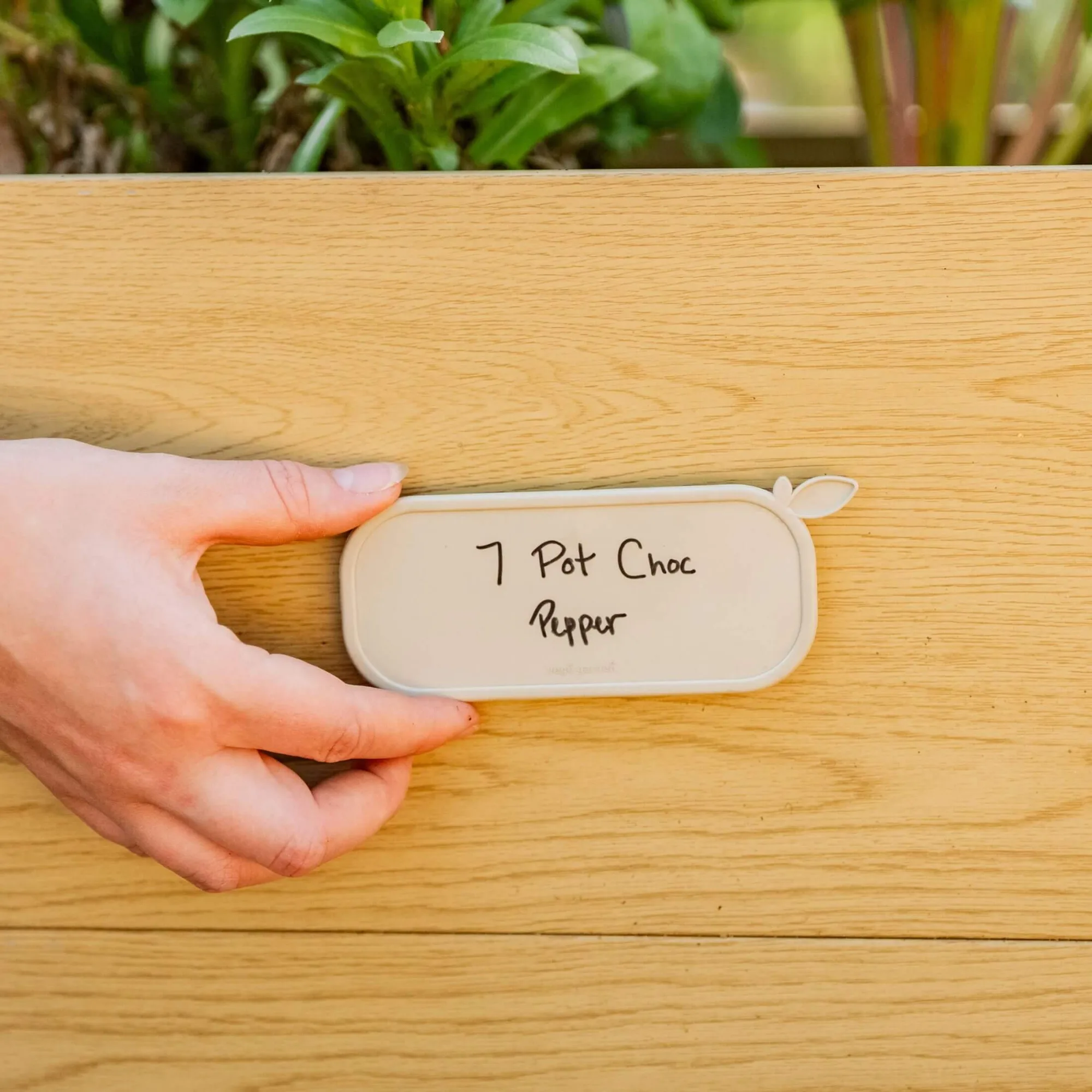 Magnetische Pflanzenetiketten zur Setzlingsorganisation