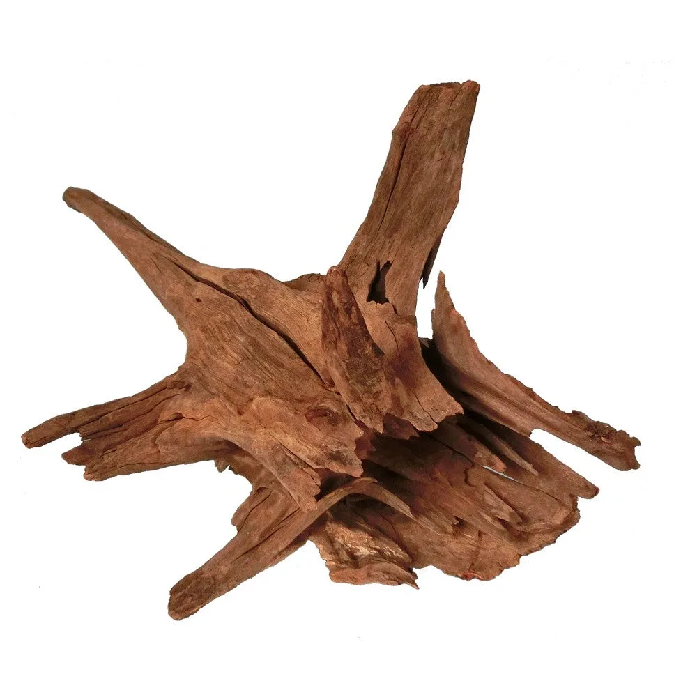 Corbo Catfish Root