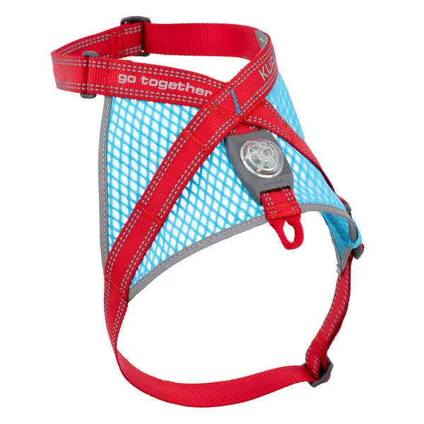 How to Properly Fit a Dog Life Jacket: Step-by-Step Guide for Safety