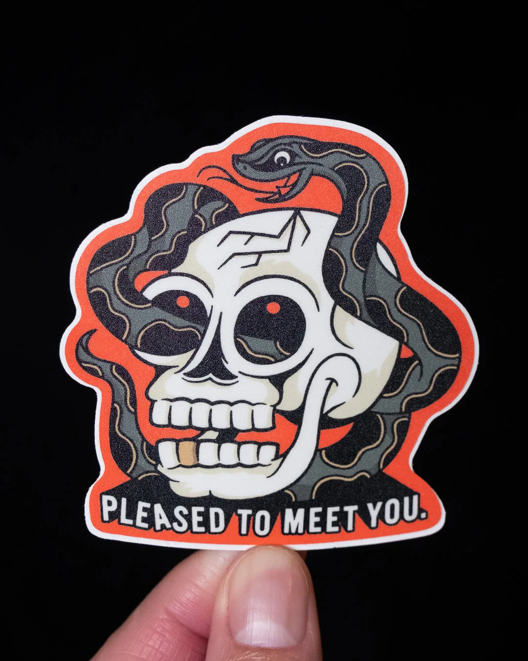 Snake and Skull 'Pleased To Meet You' - Die-Cut Vinyl Sticker