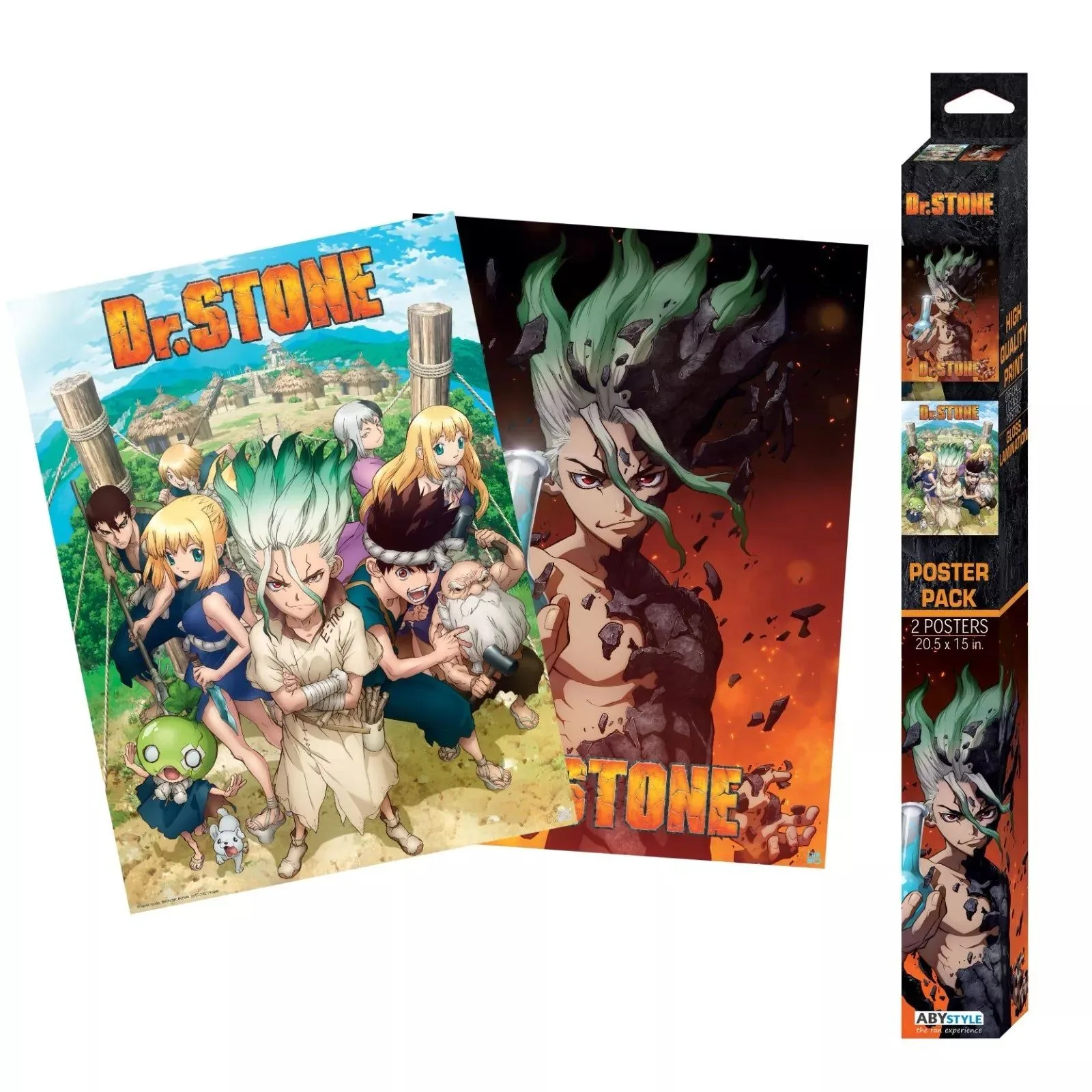 How to Display Anime Posters Without Damaging Them