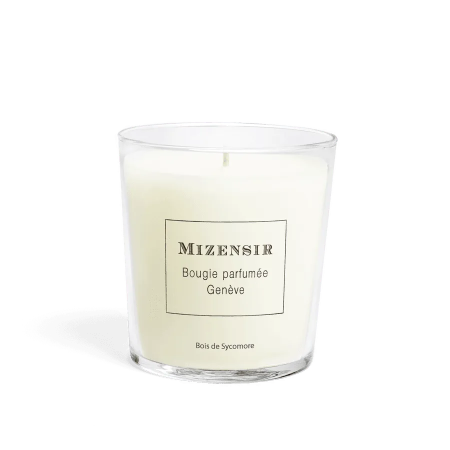 Candle vs Diffuser: How to Choose the Perfect Mizensir Home Fragrance
