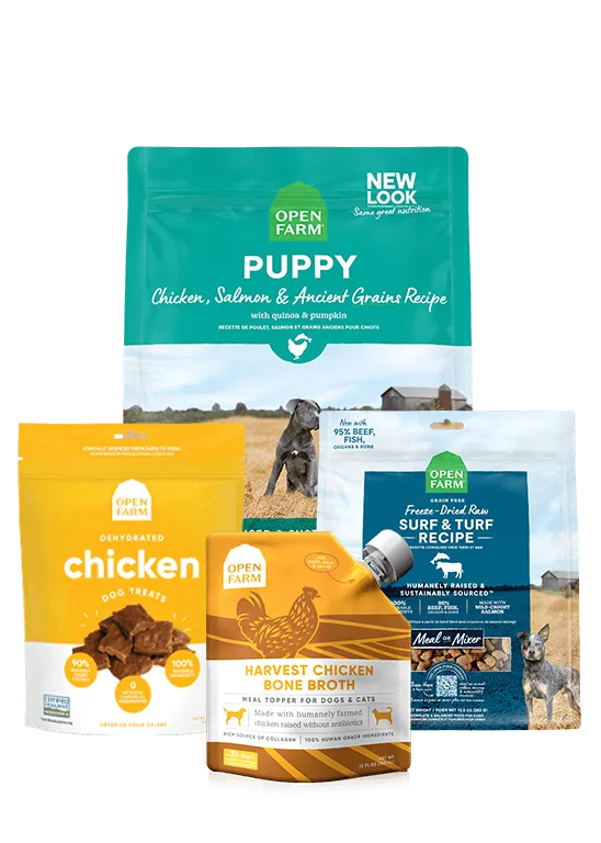 Jak przestawić szczenięta na Ancient Grains Puppy Pack